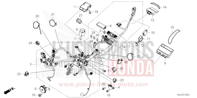 WIRE HARNESS for Hornet 750 MAT GOLDFINCH YELLOW (Y242) from 2023